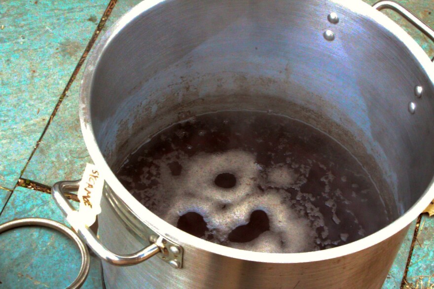 New Hampshire sycamore sap boils down into syrup at researcher David Moore's house in Lee.