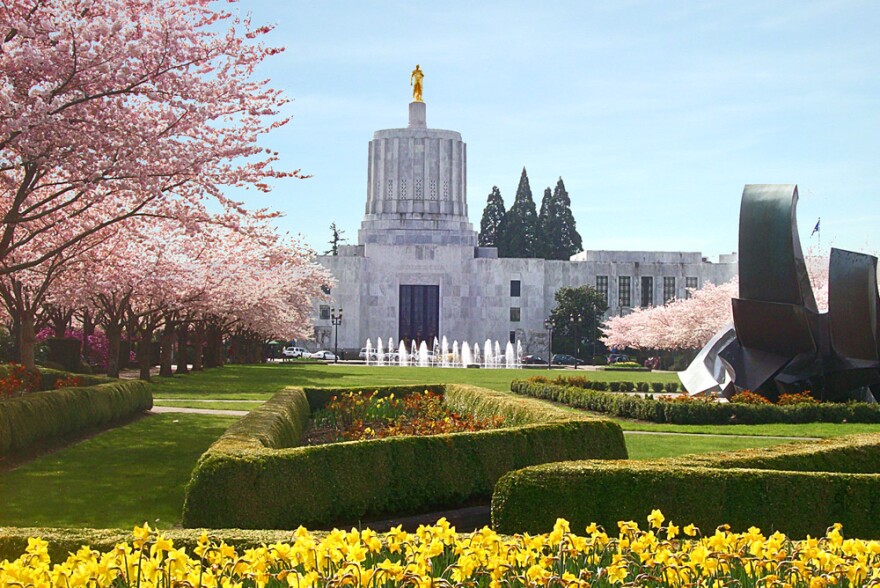 Oregon Capitol's Flowering Cherry Trees May Come Down Jefferson