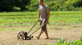 Jameson Small uses a late-1800s seeder to plant lettuce at Tuttle farm in Dover, N.H.  Small is part of a group of young farmers who are taking care of the land as the owners await a buyer.