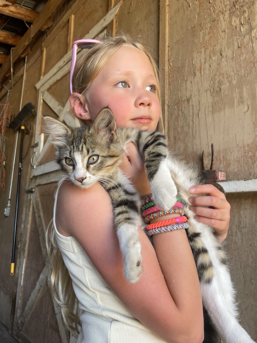 A young girl holds a white, striped cat.