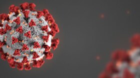 The novel coronavirus.