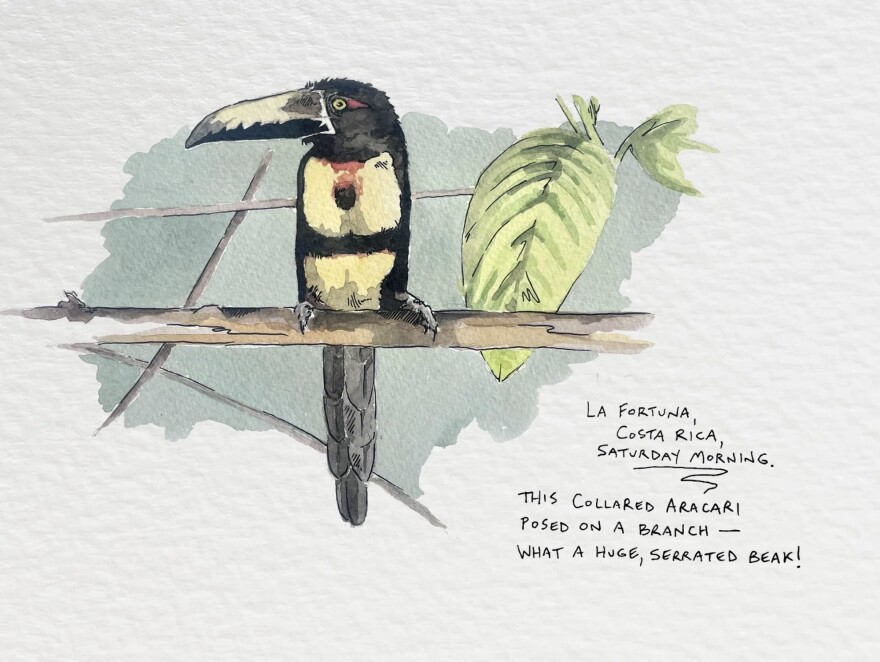 Noah Stryker has a new project called "Letters From Noah."