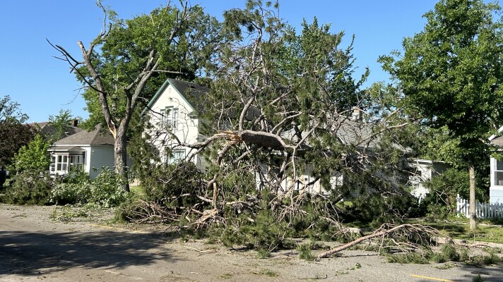 Trees piled up in front of a house after being blown down by heavy winds.