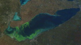 The 2014 cyanobacteria bloom that shut down Toledo’s water supply drew national attention. But algae blooms in Lake Erie have been a problem for years. In fact, as seen in this October 9, 2011 satellite photo, you can often see them from space. 