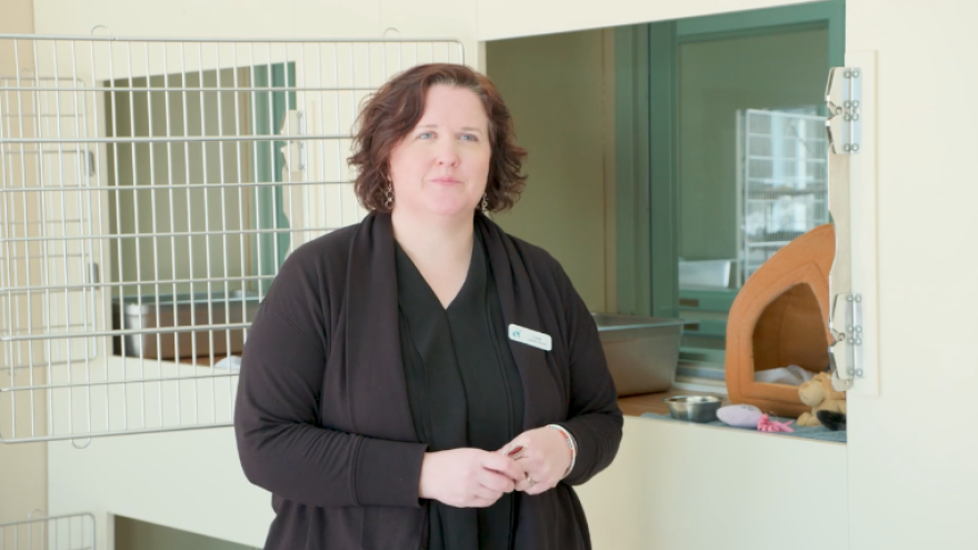 Lisa Bahr, executive director of Centre County PAWS, discusses the trends they're seeing in animal adoptions.