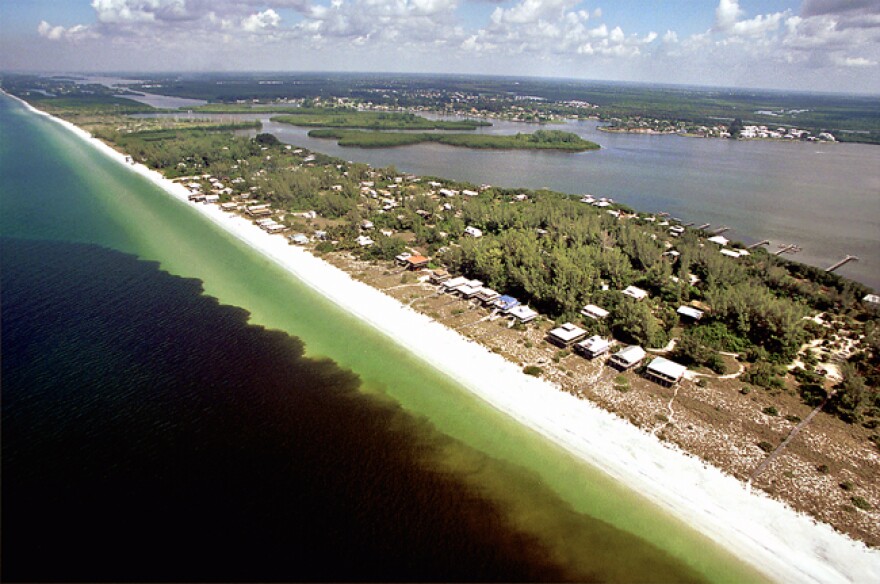 Algae that create red tide blooms are seeded offshore on the ocean floor and get swept inshore by wind and water conditions, where waves can break open the algae.