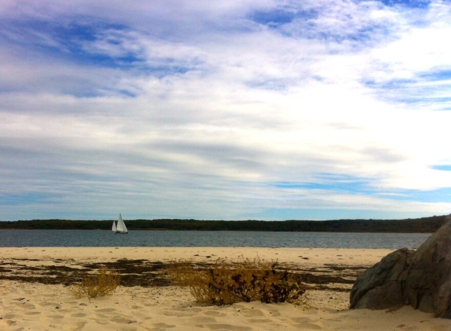 sailboat.jpg
