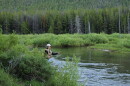 A woman fly fishing on a green, bushy bank of a small stream.