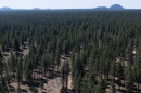 A person walks along a dirt road in Deschutes National Forest, May 1, 2025, near Bend, Ore.
