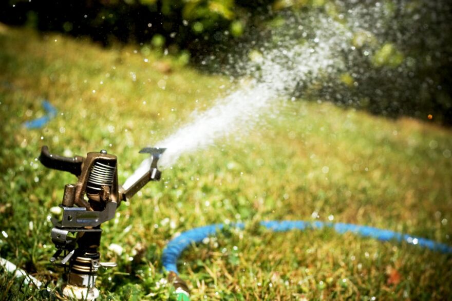 sprinkler_flickr_Shaylor.jpg