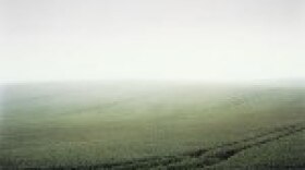 ?Verdun 1916, Le Mort Homme? (2001) is one of three present-day images of World War I battle sites by Bart Michiels.