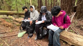 Downtown Continuation High School students have a lesson in the redwoods.