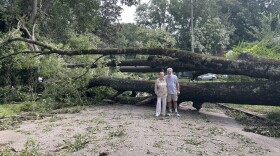 WKNO host Darel Snodgrass and his wife Judy stand in front of the enormous tree that fell during Saturday's storm, entirely blocking the only entrance to their street near the University area of Memphis.