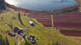 A drone view of the Lachney’s cranberry farm outside of Eatonville, Washington.