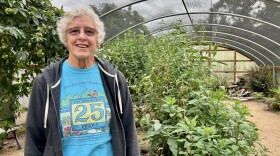 A woman stands in a structure filled with foliage and butterflies.