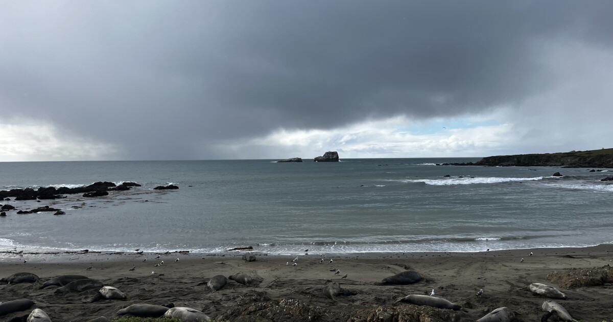 Storm brings heavy rain and high surf to central coast, flooding causes ...