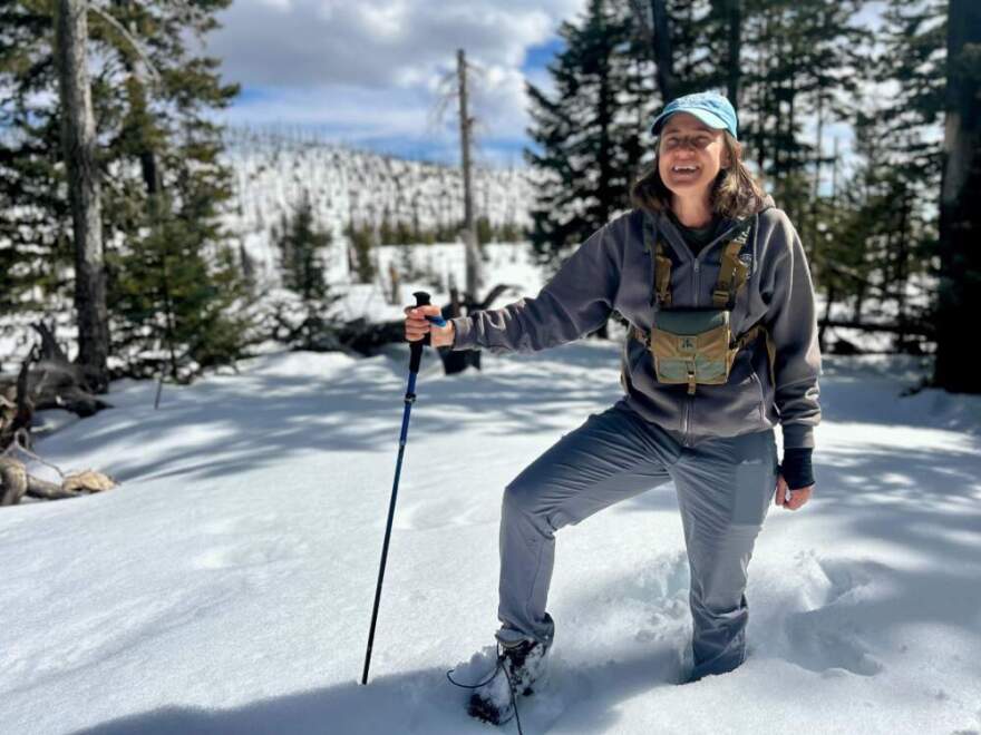 Arizona Game and Fish Department’s Holly Hicks near a fire scar atop Mt. Graham. After the 2017 Frye Fire, only 35 Mt. Graham red squirrels survived. (Peter O'Dowd/Here & Now)