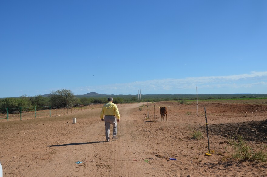 Seventy-one-year-old Jesús Fimbres works on his ranch in Sonora.
