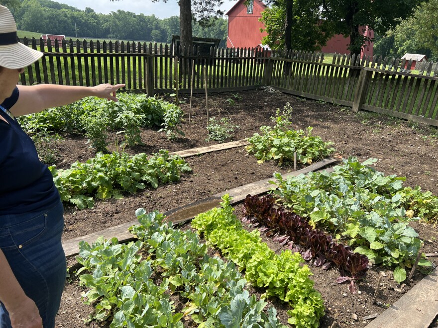 MetroParks' Education Coordinator, Betty Hoevel, stands in a garden at Carriage Hill MetroPark and points to the variety of vegetables growing there.