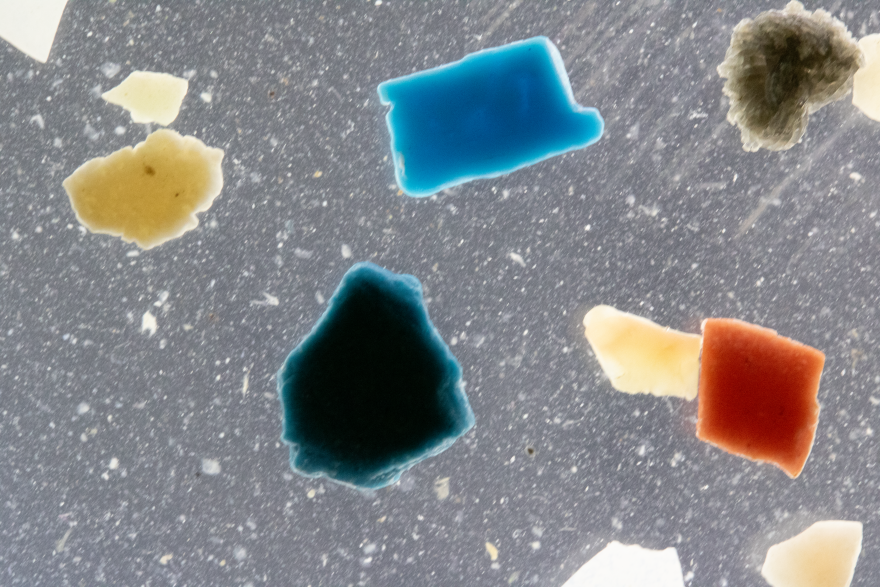 Microplastics through a NC State laboratory microscope.