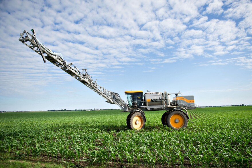 A farmer applies fertilizer to corn in Kasbeer, Ill. Scientists say one significant source of nitrogen pollution is fertilizer that leaches off of fields growing corn and soybeans to feed meat and dairy animals.