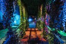Claude Monet: The Immersive Experience