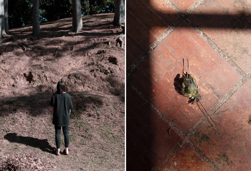 Left: Sofia at a small square near home, during the third week of quarantine. Right: A detail of a dead bird at Rachel's backyard on the first week of quarantine.