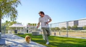 Man runs alongside small dog in dog park. 