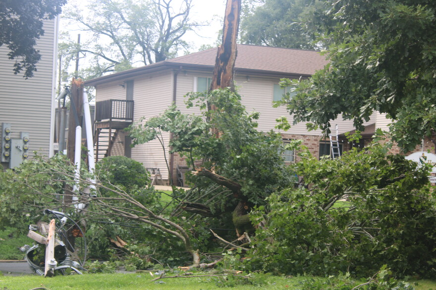 A powerful storm ripped through Bloomington-Normal Thursday, leaving downed trees and powerlines in its aftermath.