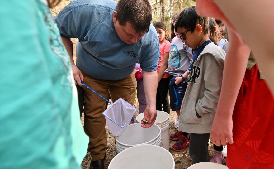 Fourth grade teacher Chris Hall holds trout in the fry stage of life before moving them to a creek on Keystone College's campus.