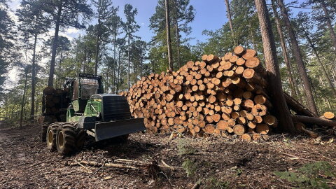 Logging equipment and a pile of felled trees sits less than a mile from the Burke Branch area of the Shawnee, which stands to lose federal protections from new road construction and timber harvesting under a proposal from the Trump administration.