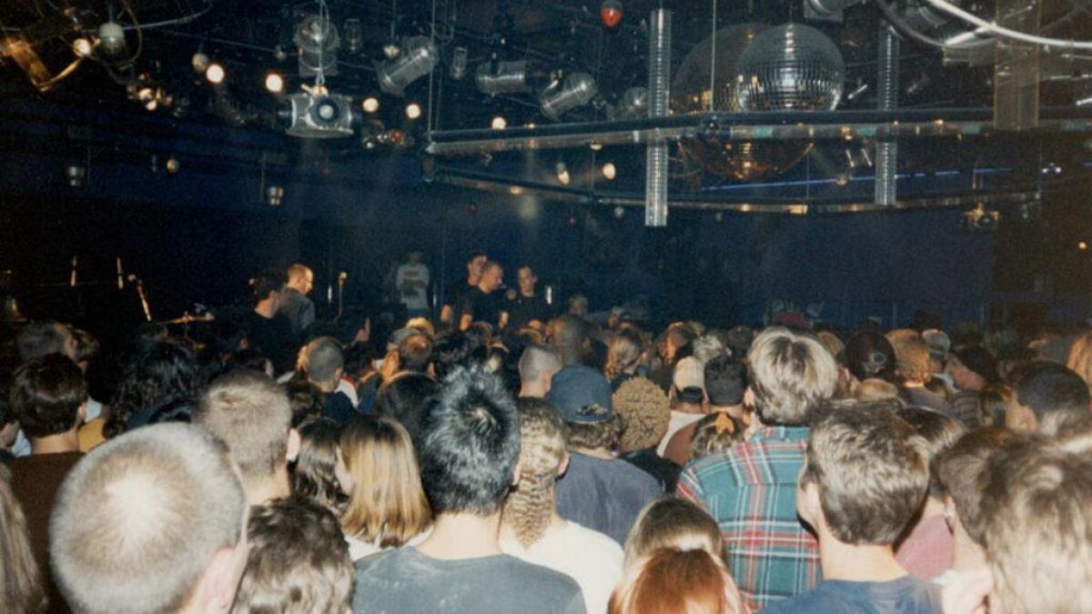 Vibrant summer concert crowd in 2025