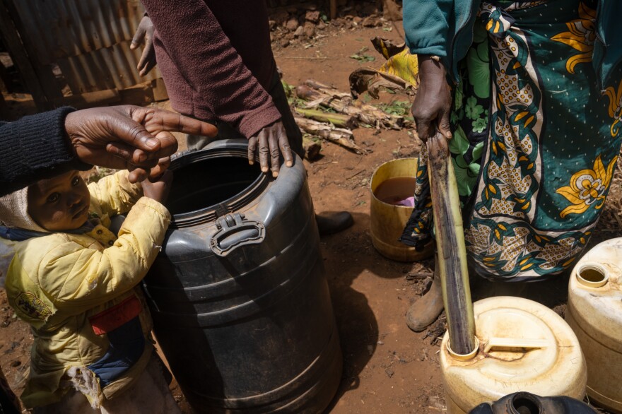 Nyuroka and Murungi talk with neighbors about their memories of older ways of harvesting water from the forest. As children they remember using banana leaves and bowls to do the same collection before the switch to plastic.