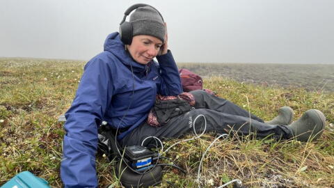 Nikki Lindt captures audio. (Barbara Moran/WBUR)