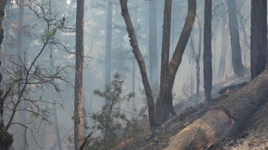 A prescribed burn on a steep slope outside Ruch in Jackson County, Oregon.