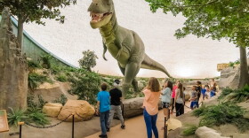 The Sternberg Museum of Natural History in Hays has a collection of more than 3 million fossils and other specimens.