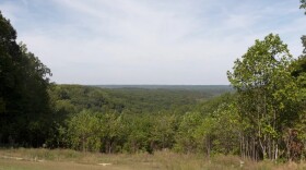 Leaves at the Brown County State Park are a bit greener than usual for this time of year.