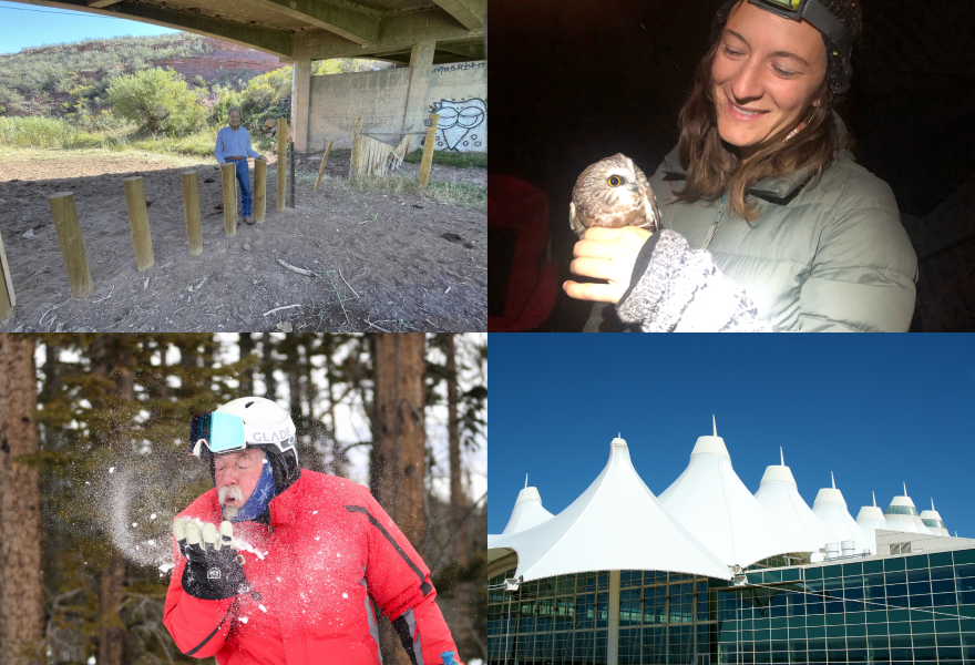 Four images, including a man under a bridge, a woman holds an owl, a man uses his breath to blow snow and the roof of denver international airport