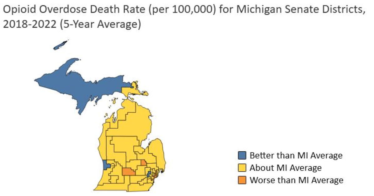 New public health dashboard aims to show trends across Michigan | WKAR ...