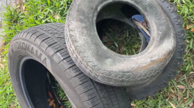 Three black tires filled with water are lying out on the grass.