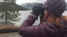 BLM Wildlife Biologist Carrie Hugo Peers through binoculars. For the last eight years she's been in charge of counting the migrating Bald Eagles that stop over at Lake Coeur D'Alene in Idaho's panhandle. EMILY SCHWING / NORTHWEST NEWS NETWORK