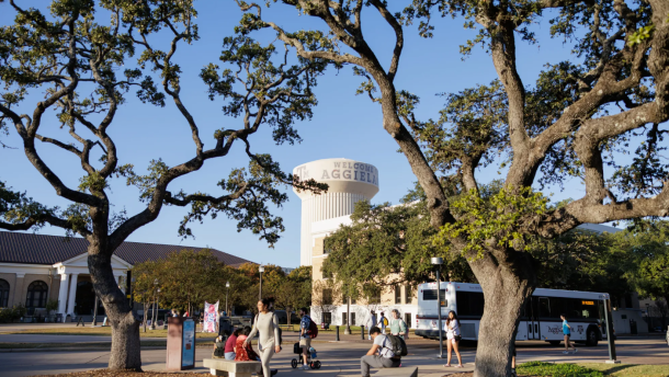 Students wait at a bus stop on the Texas A&M University campus in College Station, on Nov. 12, 2025.