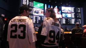Football fans wait for kickoff in the sports betting lounge at the Ocean Casino Resort in Atlantic City, N.J., Sept. 9, 2018. When the NFL season kicks off this week, Kentucky residents and visitors — for the first time — will be able to legally place sports bets on something other than horse racing, When they do, they also will be funding the state's first-ever program for people with gambling problems. (Wayne Parry/AP)