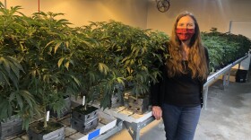 Jessica Baker, owner of Bakers Cannabis Dispensary in northwest Oklahoma City, poses in front of the mother plants at the dispensary’s attached clone nursery. 