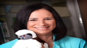 Anne Savage, Ph.D., is founder of Proyecto TitÃ­, which works to conserve the cotton-top tamarin in Columbia.