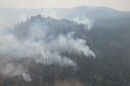 Smoke from Tartar fire burning in timber