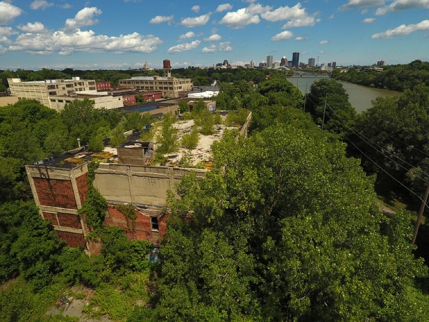 The rear of 5 Flint Street, looking toward downtown Rochester.