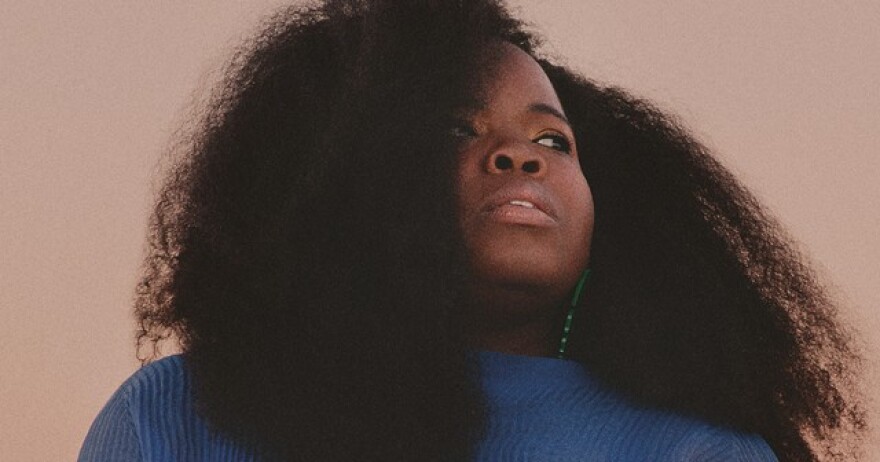 Danielle Ponder has arrived on the national music scene, and her album "Some of Us Are Brave" broke new personal ground.