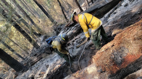 Oregon firefighters battling a blaze.