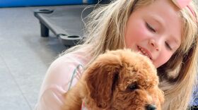 Maybel Lowry sits with Luna, the family’s 10-week-old miniature goldendoodle, who is training to become a diabetic alert dog.
